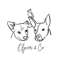 Olyver & Co logo