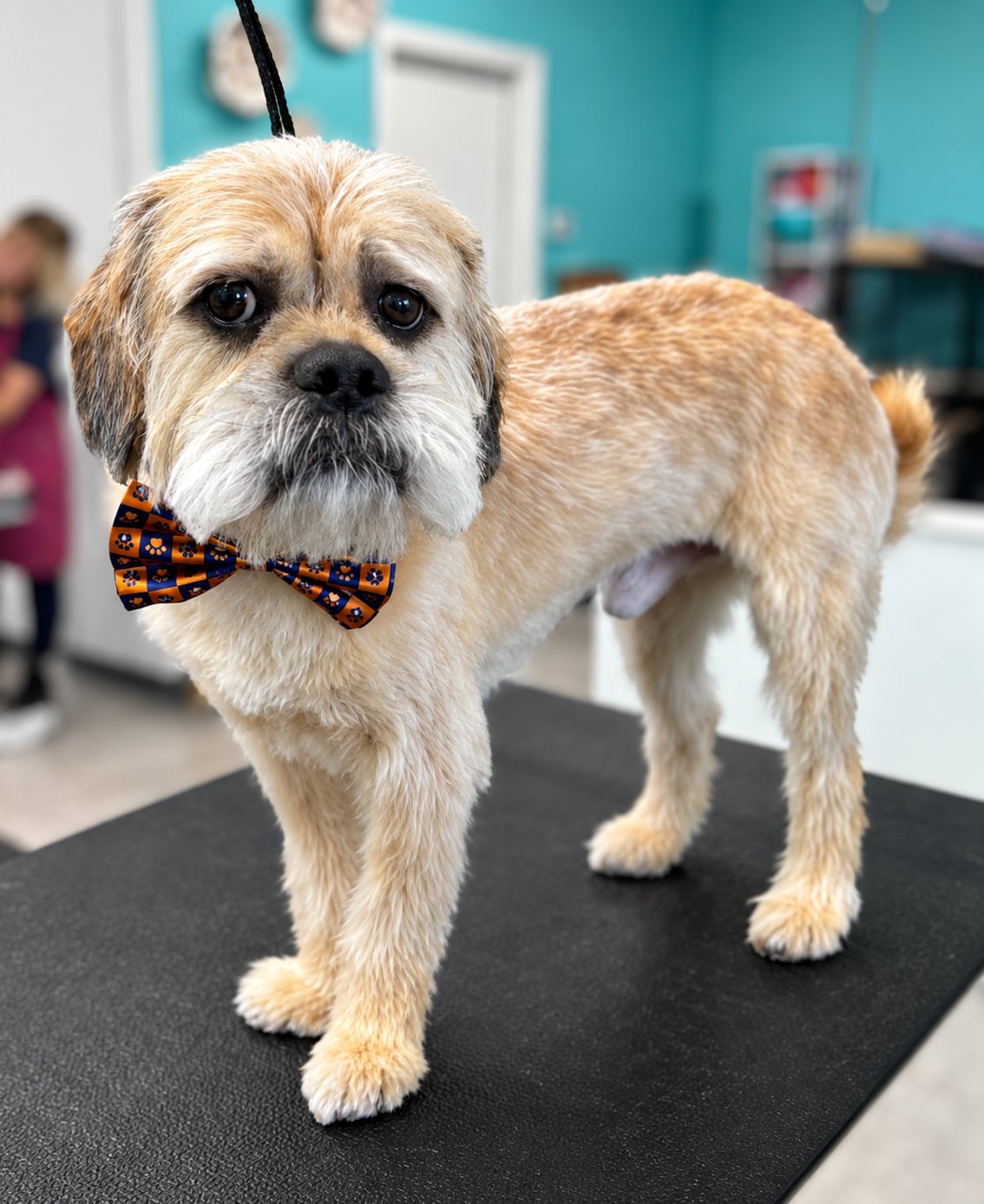 Marshmallow