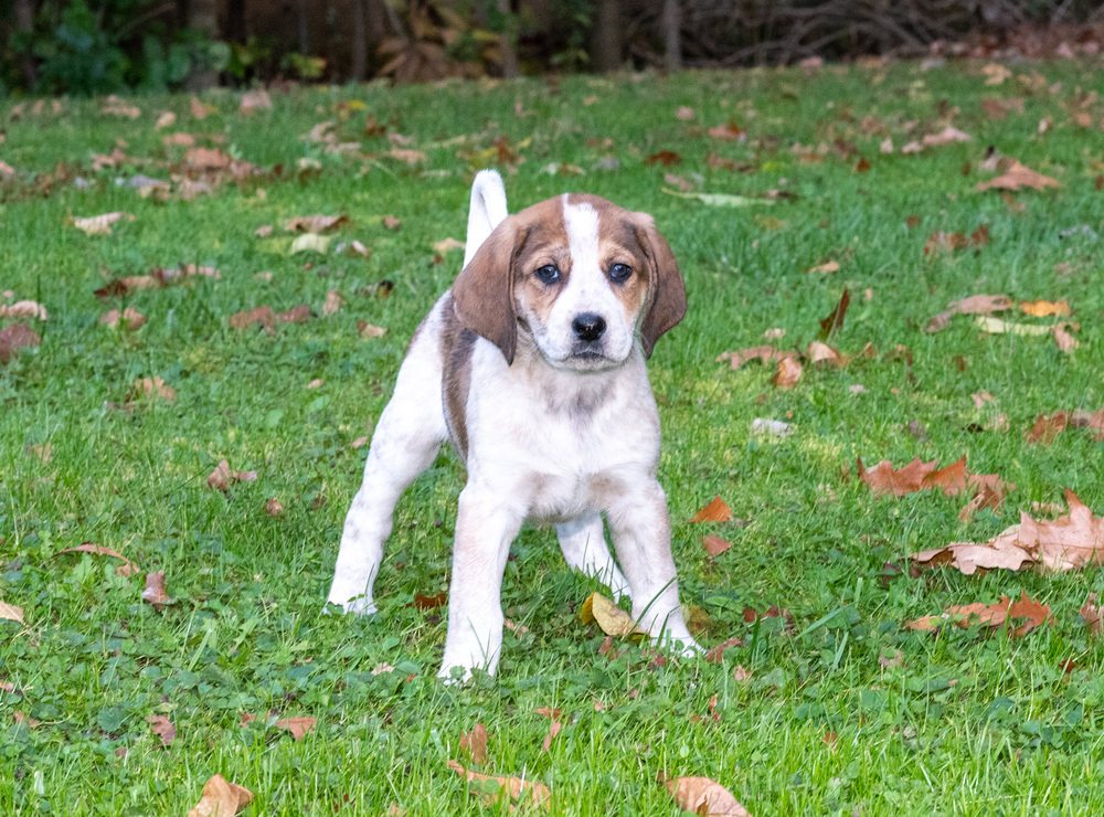Ellie Mae