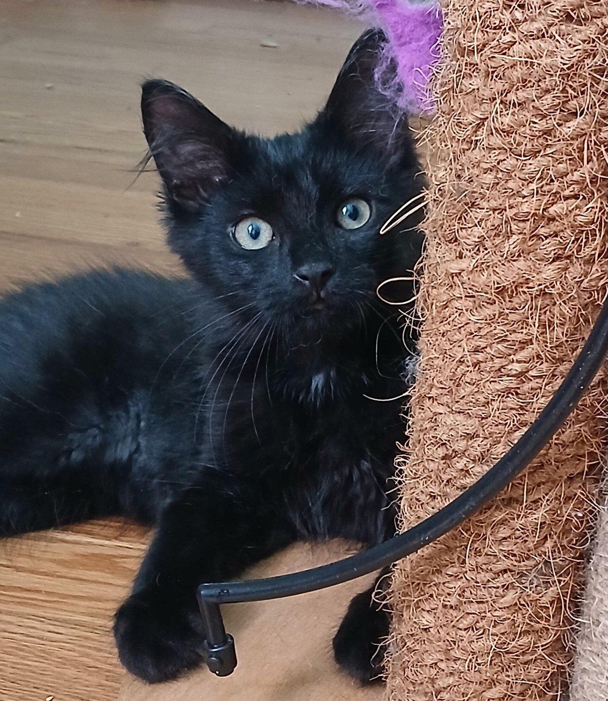 Onyx