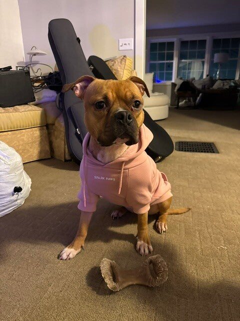 Sienna