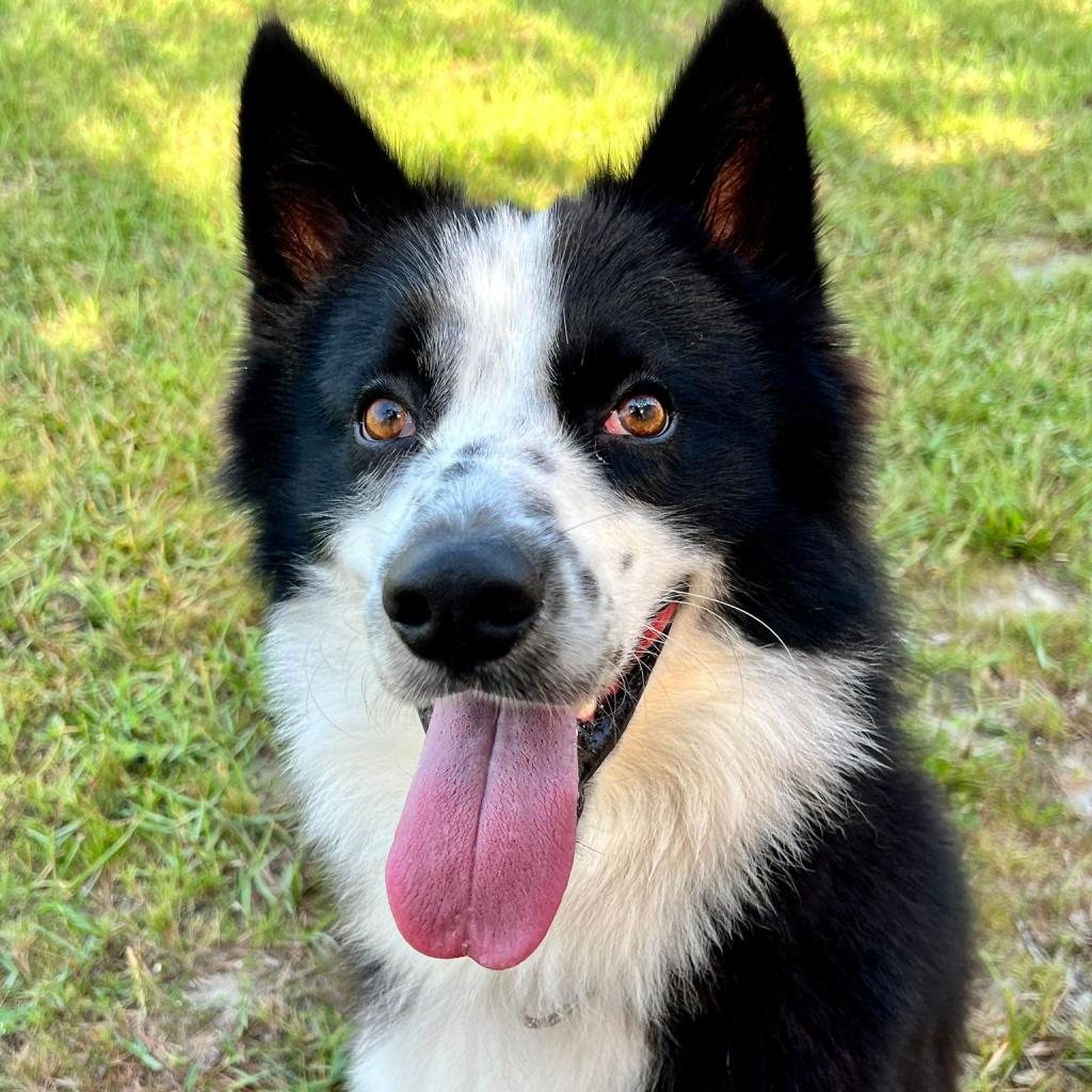Tucker