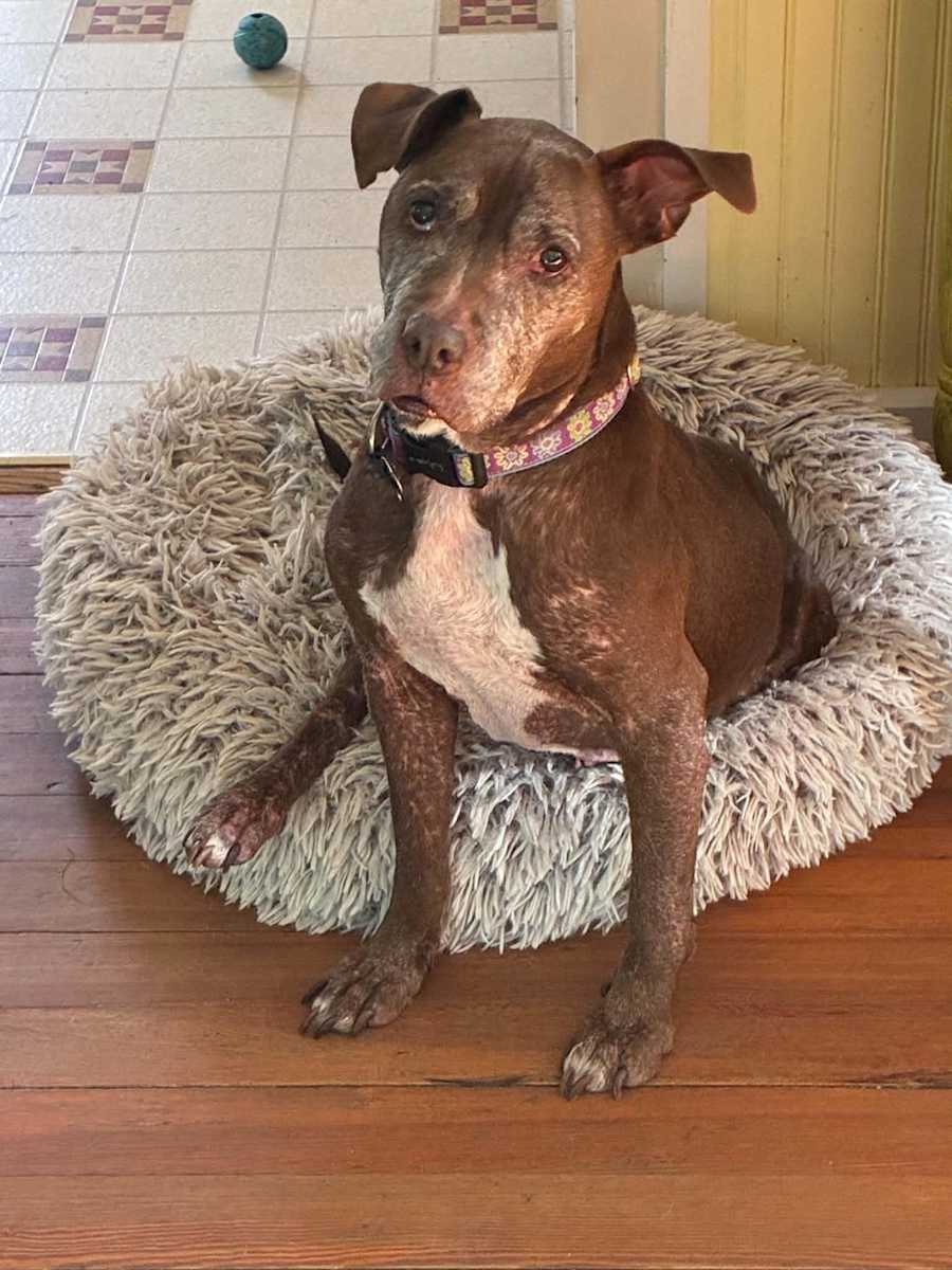 Molly