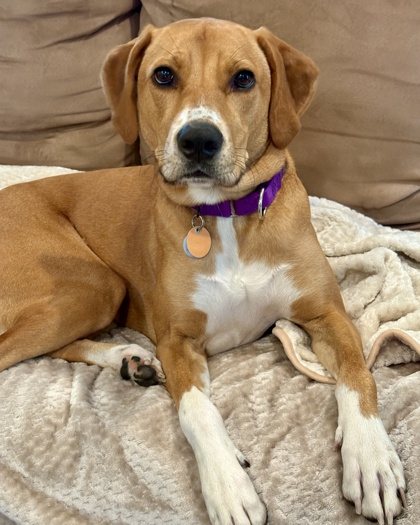 Penny