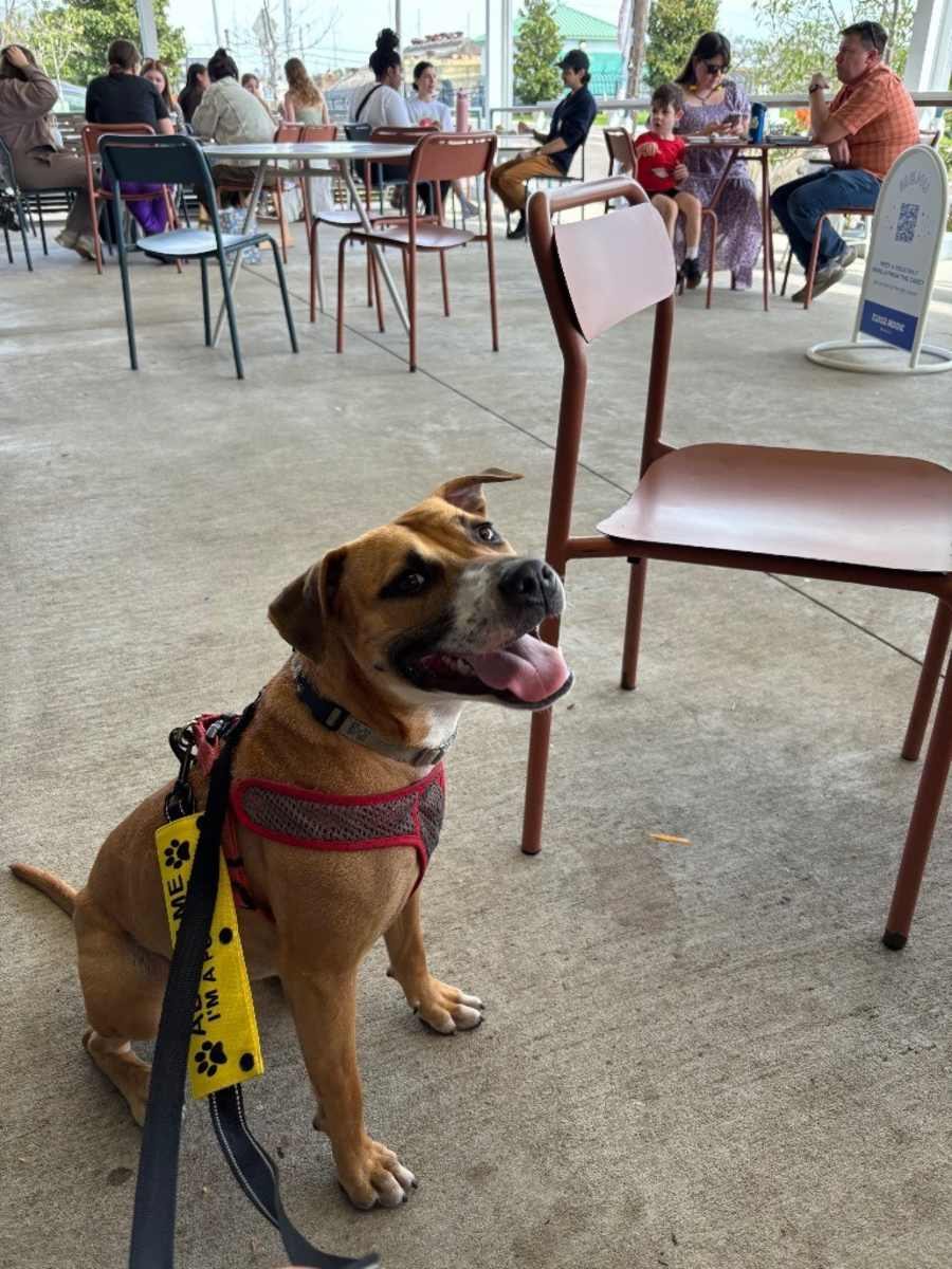 Bubbles (In Foster)