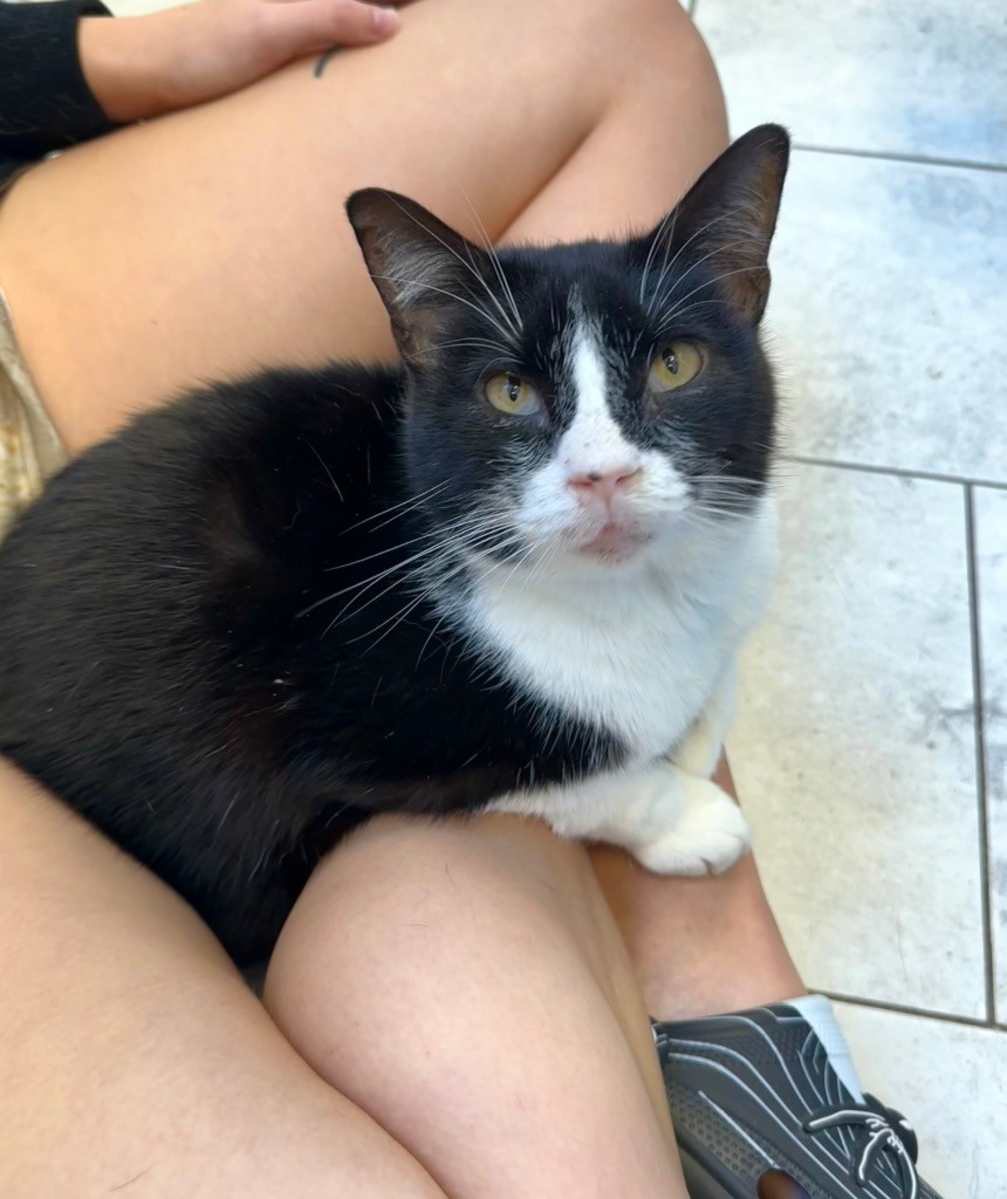 Frankie
