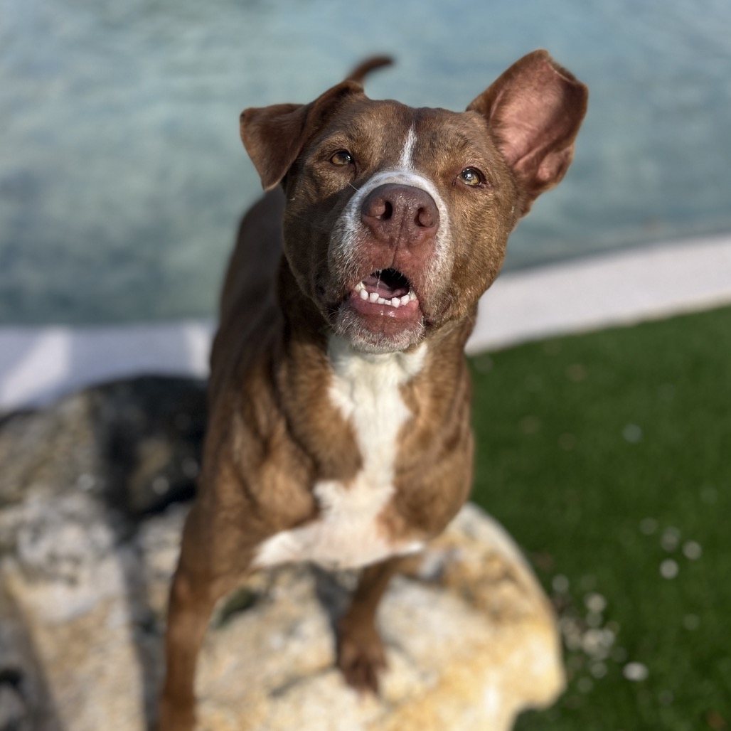 Kash AKA Angel