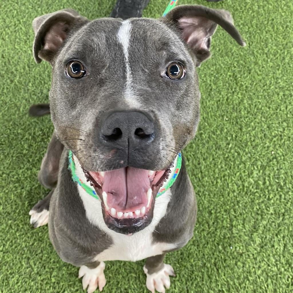 Lolita AKA Lidia 6027