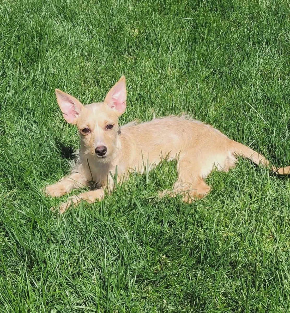 April