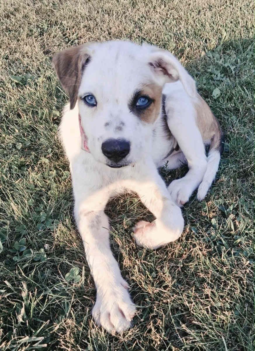 Ethel