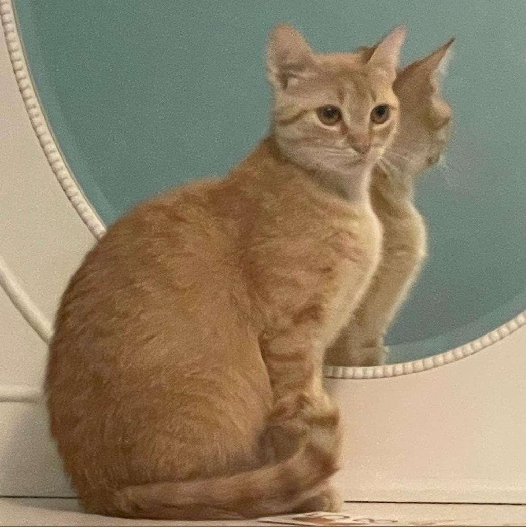 Linda