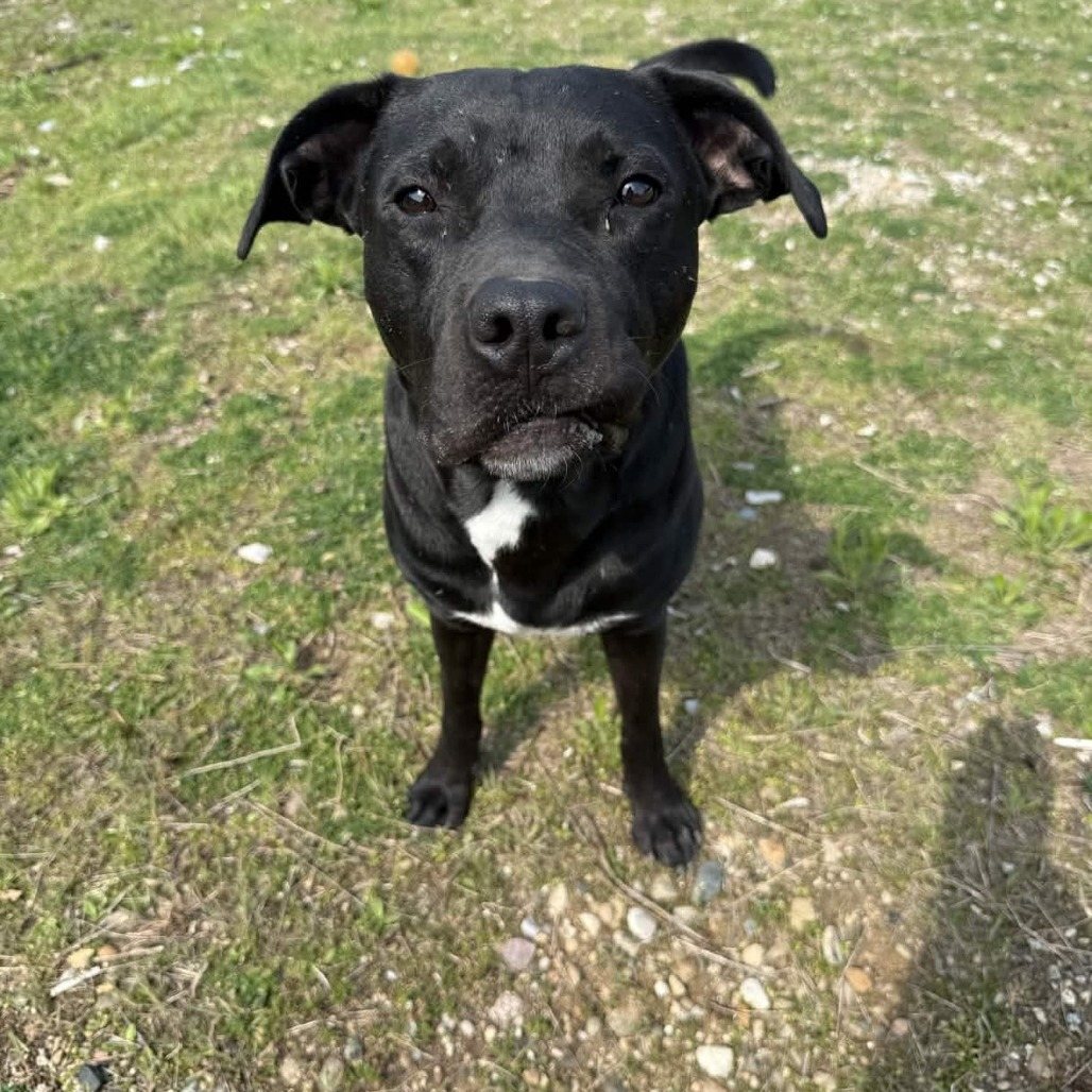 Buster