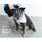 Blaine