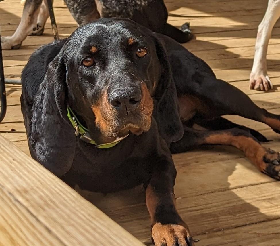 Bonnie