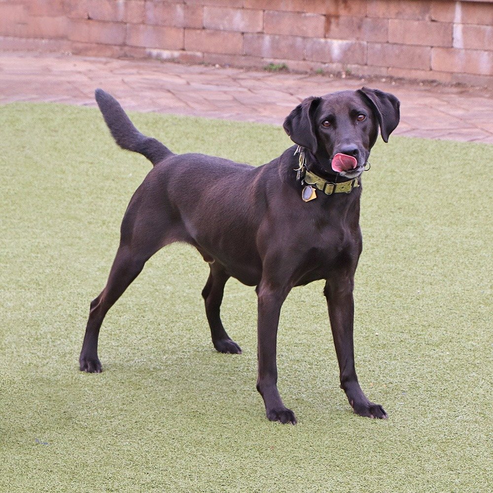 Max