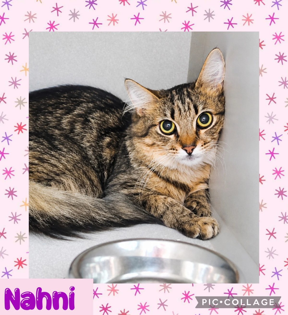 Nahni