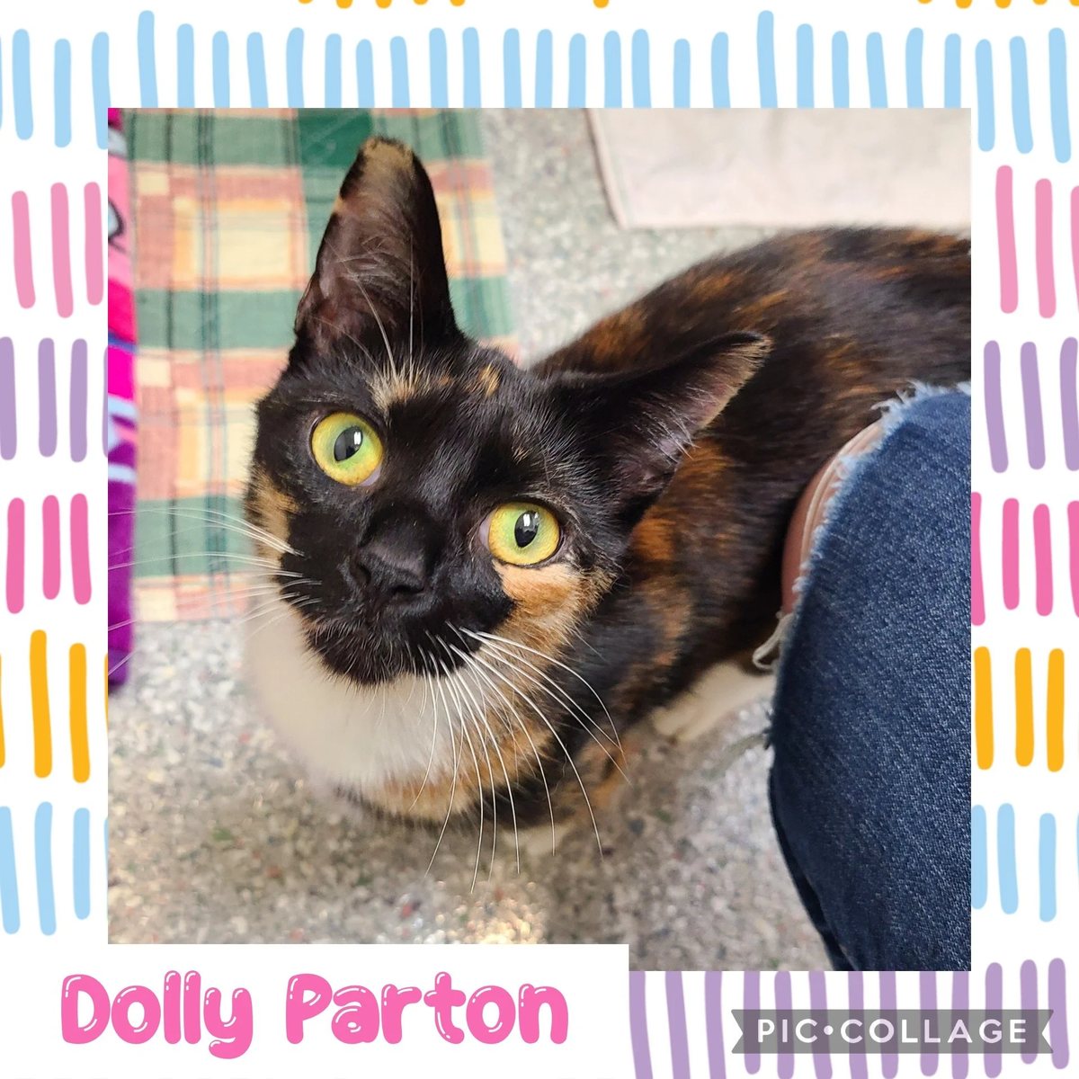 Dolly Parton