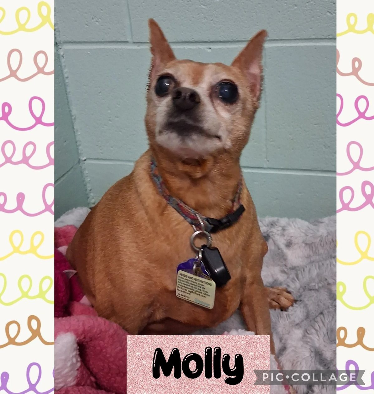 Molly