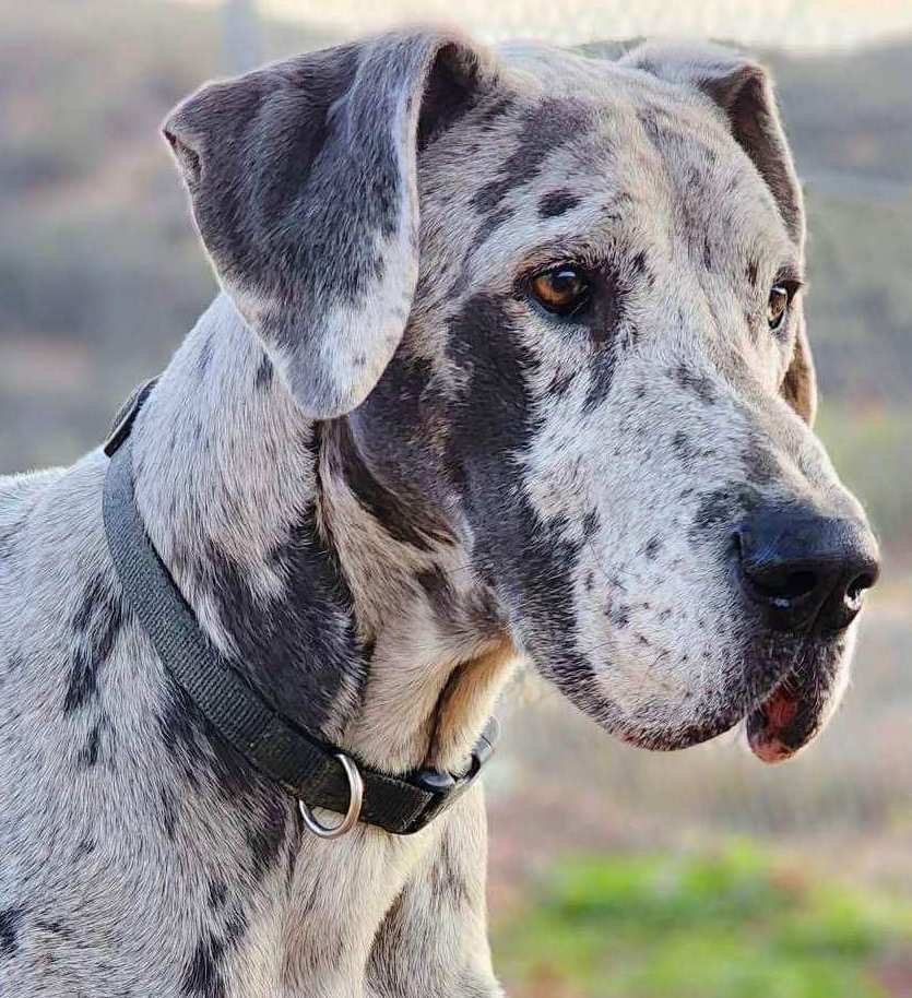 Zeus