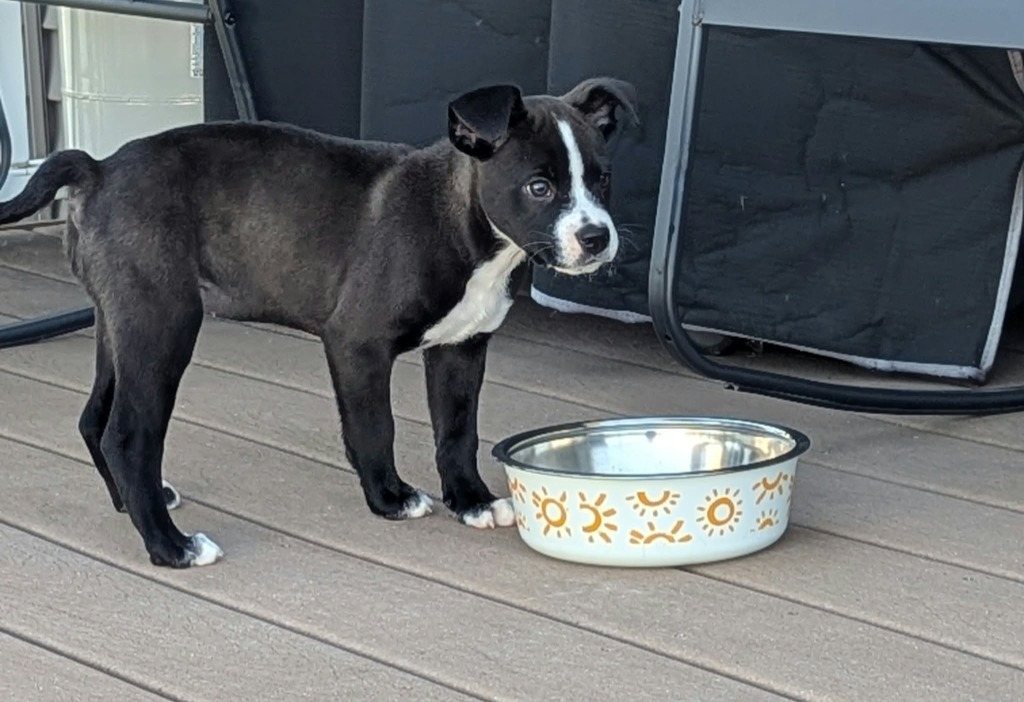 Fiona *pending*