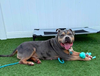 Margie