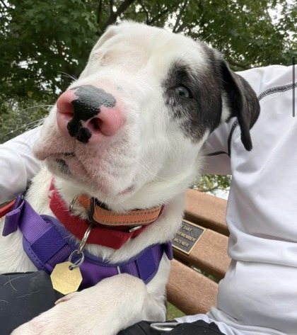 Cipher