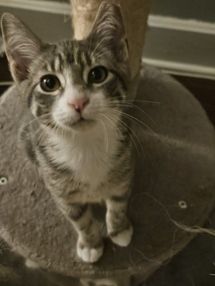 Jack